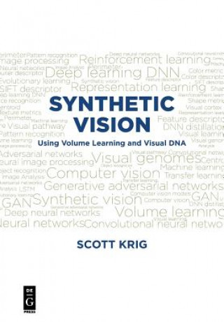 Könyv Synthetic Vision Scott Krig