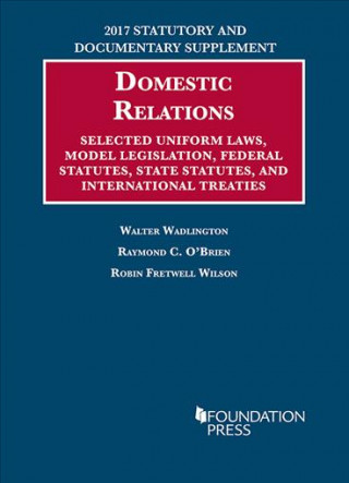 Kniha Family Law Statutes Walter Wadlington