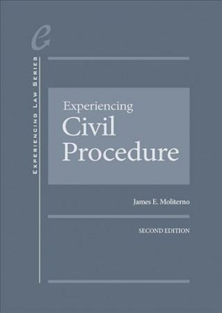 Kniha Experiencing Civil Procedure James Moliterno