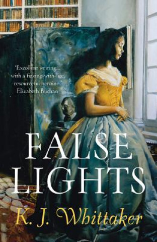 Knjiga False Lights KJ Whittaker