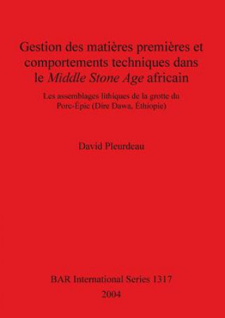 Книга Gestion des matieres premieres et comportements techniques dans le Middle Stone Age africain David Pleurdeau