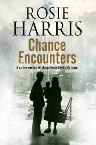 Книга Chance Encounters Rosie Harris