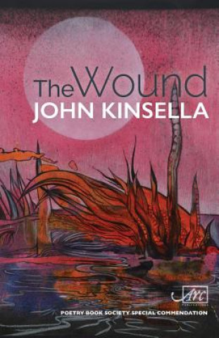 Kniha Wound John Kinsella