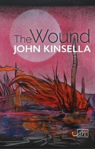 Kniha Wound John Kinsella