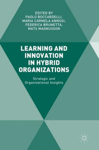 Kniha Learning and Innovation in Hybrid Organizations Paolo Boccardelli