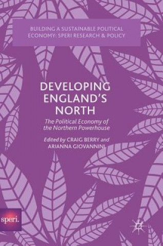 Buch Developing England's North Craig Berry