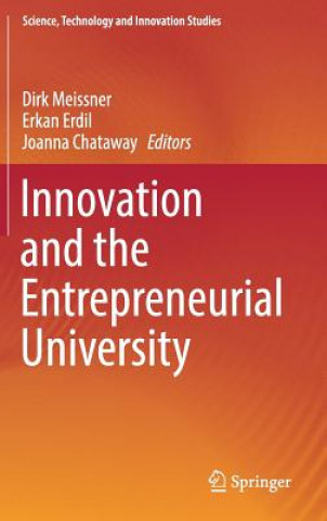 Libro Innovation and the Entrepreneurial University Dirk Meissner