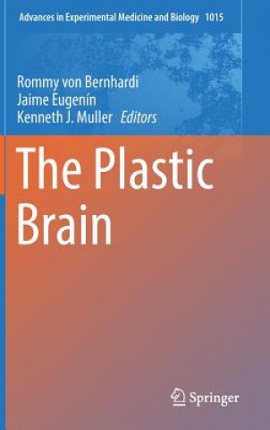 Book Plastic Brain Rommy von Bernhardi