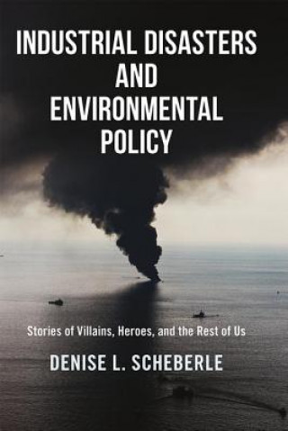 Buch Industrial Disasters and Environmental Policy Denise L. Scheberle