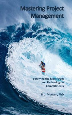 Buch Mastering Project Management Robert J Monson