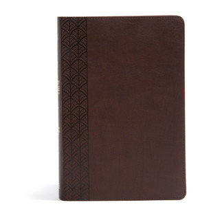 Kniha The CSB Study Bible for Women, Chocolate Leathertouch Csb Bibles By Holman