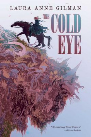 Buch The Cold Eye Laura Anne Gilman