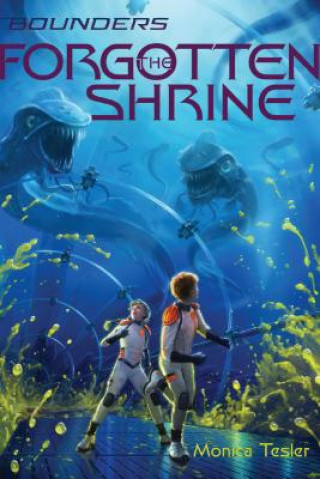 Boek The Forgotten Shrine: Volume 3 Monica Tesler