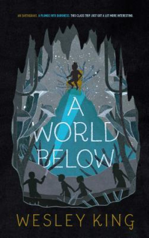 Livre A World Below Wesley King