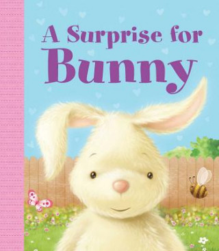 Kniha A Surprise for Bunny Gareth Llewhellin