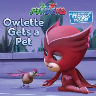 Βιβλίο Owlette Gets a Pet Maggie Testa