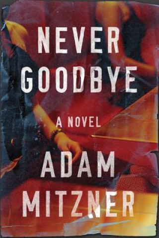 Buch Never Goodbye Adam Mitzner