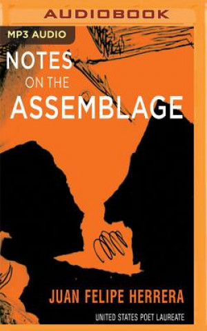 Audio Notes on the Assemblage Juan Felipe Herrera