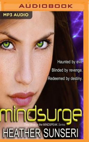 Audio Mindsurge Heather Sunseri