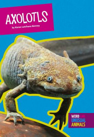 Buch Axolotls Karen Latchana Kenney