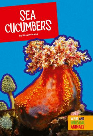 Buch Sea Cucumbers Wendy Perkins