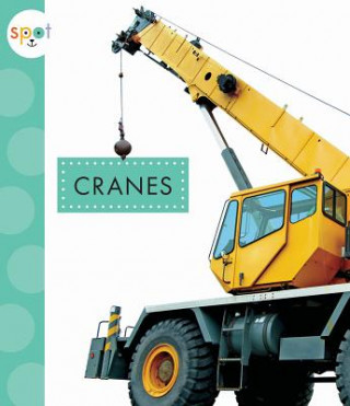 Könyv Cranes Mari Schuh