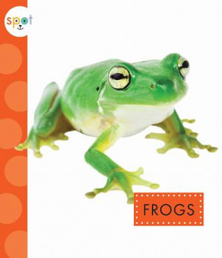 Kniha Frogs Marysa Storm