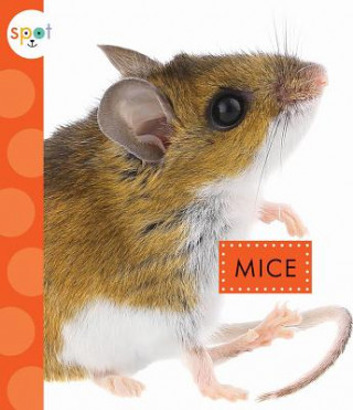 Книга Mice Marysa Storm