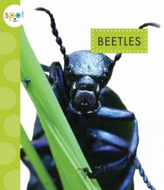 Kniha Beetles Nessa Black