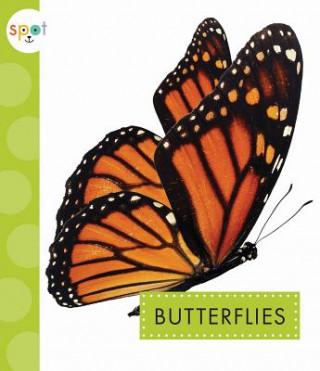Könyv Butterflies Rachel Bach