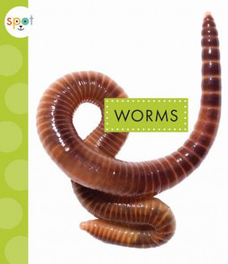 Kniha Worms Nessa Black