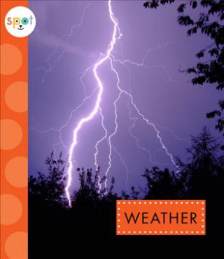 Kniha Weather K. C. Kelley