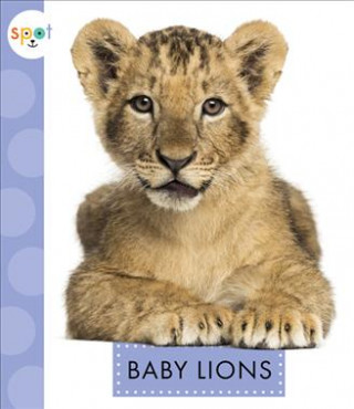 Könyv Baby Lions K. C. Kelley