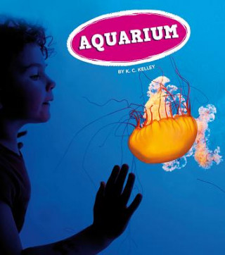 Kniha Aquarium K. C. Kelley