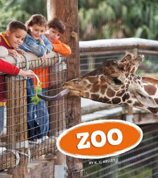 Buch Zoo K. C. Kelley