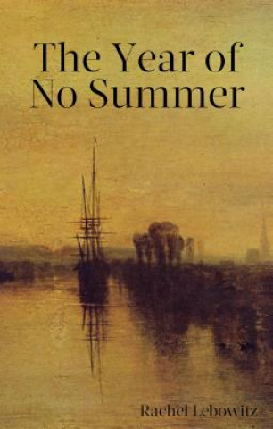 Könyv Year of No Summer Rachel Lebowitz