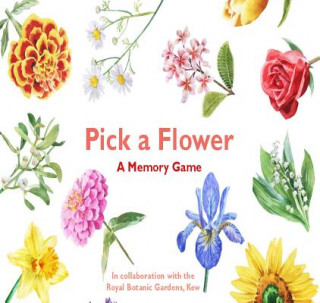 Joc / Jucărie Pick a Flower: A Memory Game Anna Day