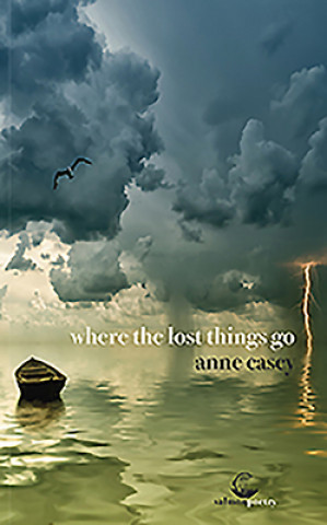 Книга where the lost things go Anne Casey
