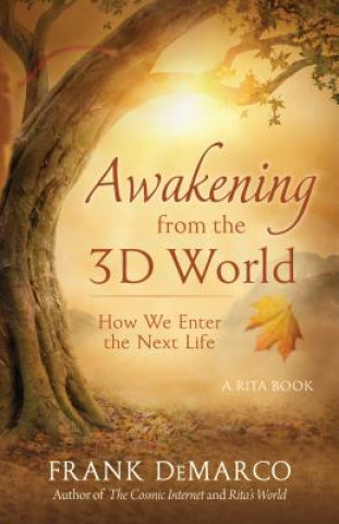 Kniha Awakening from the 3D World: How We Enter the Next Life Frank Demarco