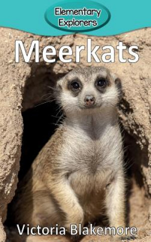 Kniha Meerkats Victoria Blakemore