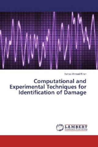 Carte Computational and Experimental Techniques for Identification of Damage Irshad Ahmad Khan