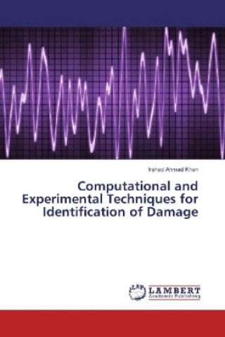 Buch Computational and Experimental Techniques for Identification of Damage Irshad Ahmad Khan