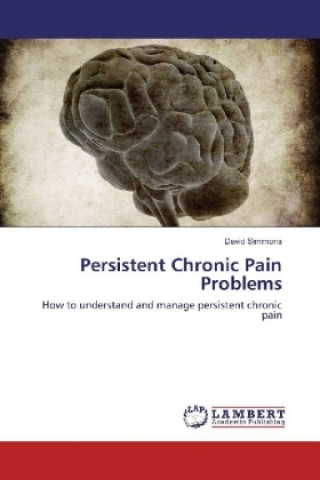 Carte Persistent Chronic Pain Problems David Simmons
