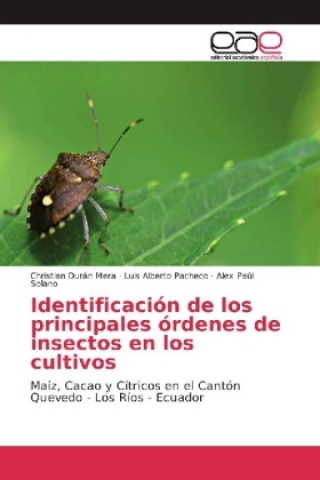 Kniha Identificación de los principales órdenes de insectos en los cultivos Christian Durán Mera