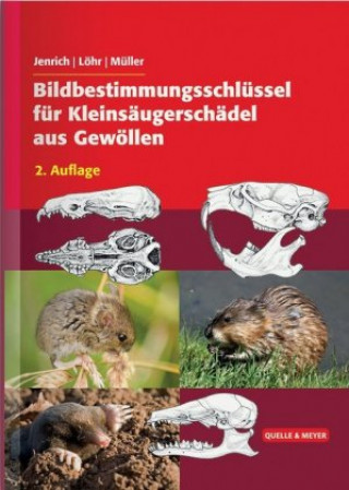 Kniha Bildbestimmungsschlüssel für Kleinsäugerschädel aus Gewöllen Joachim Jenrich
