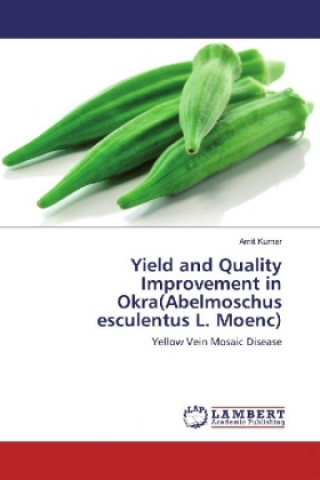 Książka Yield and Quality Improvement in Okra(Abelmoschus esculentus L. Moenc) Amit Kumar