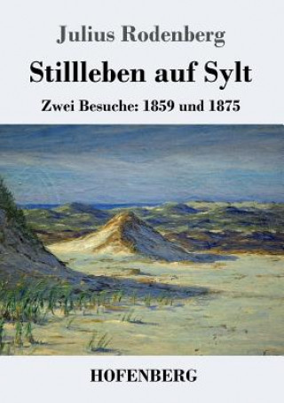 Kniha Stillleben auf Sylt Julius Rodenberg