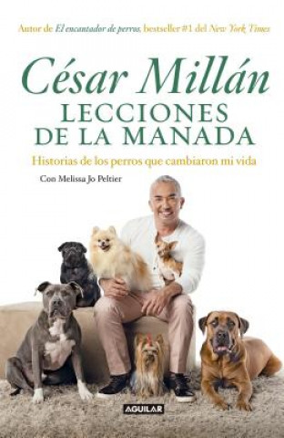 Kniha Lecciones de la manada / Cesar Millan's Lessons From the Pack Cesar Millan