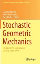 Stochastic Geometric Mechanics