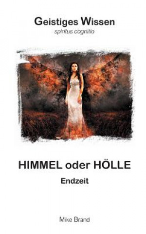 Kniha Himmel oder Hoelle Mike Brand